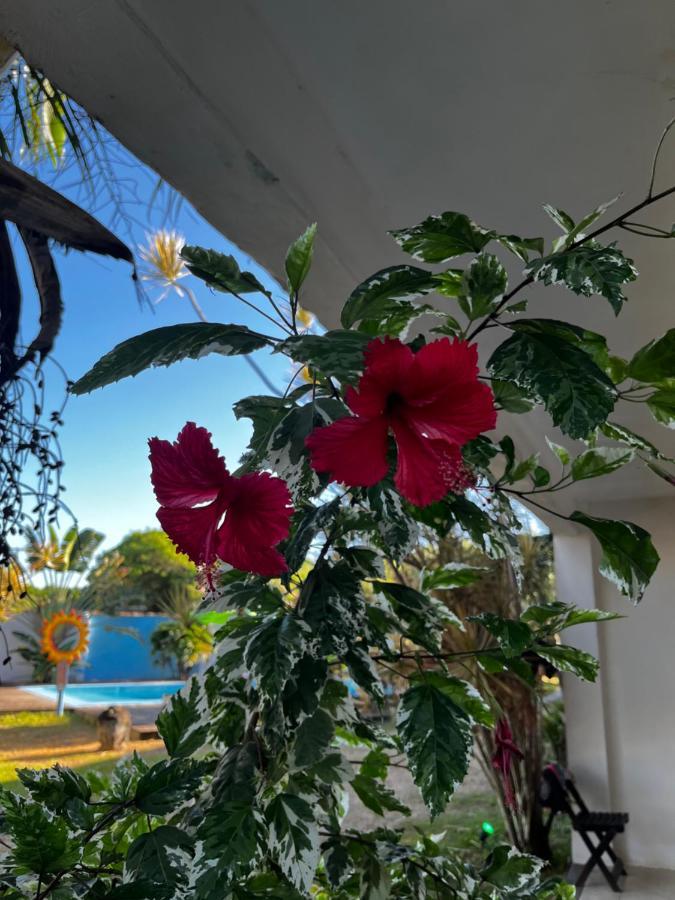 Eco Suites Caravelas Cabo Frio Exteriér fotografie